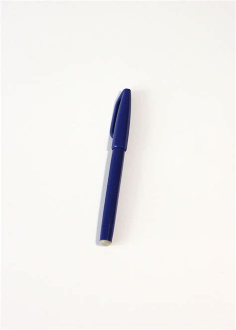 Pentel Sign Pen Blue – COMMON