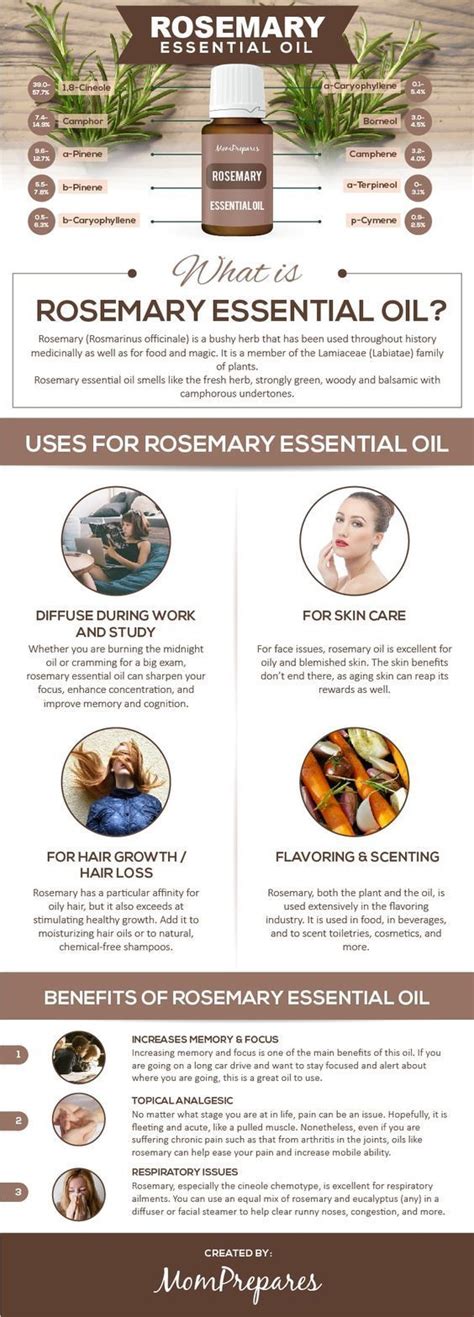 This Guide Provides Information And Research On Rosemary Essential Oil