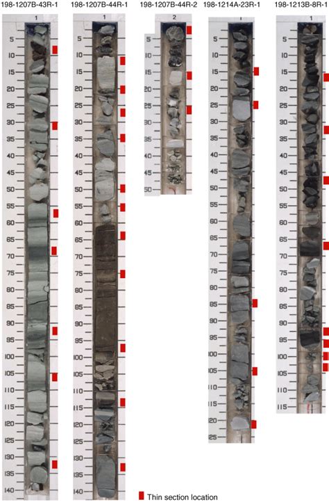 Figure F3 Series Of Core Photographs From Bralower Premoli Silva