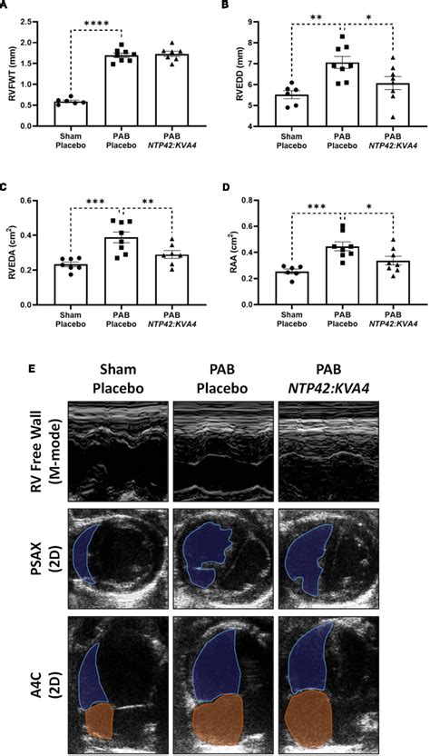 Figure From The Thromboxane Receptor Antagonist Ntp Promotes