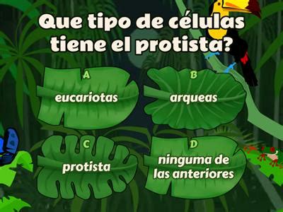 Protoctista - Recursos de ensino
