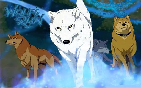 Wolfs Rain 1440x900 Wolfs Rain Wallpaper 3461312 Fanpop