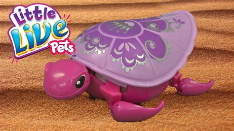 Little Live Pets Lil Turtle Season 2 Shelly From Moose Toys Youtube