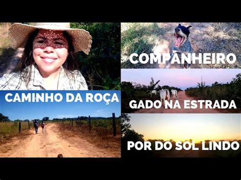 VLOG DE ROTINA DA SEXTA FEIRA AQUI NO SÍTIO POR DO SOL ANOITECER NA