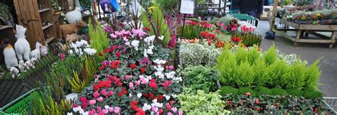 Palmers Garden Centre Plant And Flower Yeovil Somerset