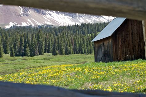 Free Images Landscape Tree Nature Grass Wilderness Field Farm