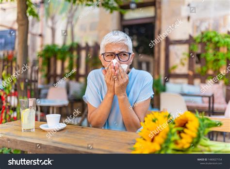 Sick Mature Woman Catch Cold Sneezing Stock Photo 1480027154 Shutterstock