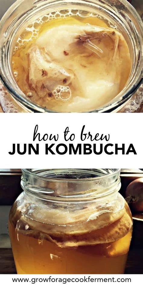 How To Brew Jun Kombucha Recipe Kombucha Recipe Jun Kombucha Kombucha