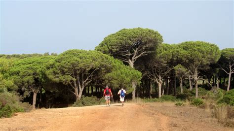 Trotones Blog Acantilados Y Calas De Conil