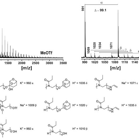 Maldi Tof Mass Spectrometry Analysis Of The Poly 2 Ethyl 2 Oxazoline