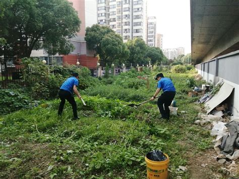 城管社区齐发力，共同遏制毁绿种菜行为 综合行政执法局（城市管理局）