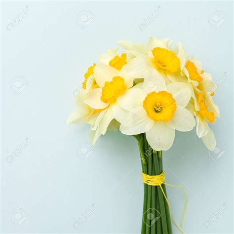 Daffodil Arrangements and Bouquet Ideas