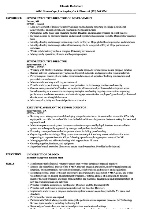 Nonprofit Executive Director Job Description Template