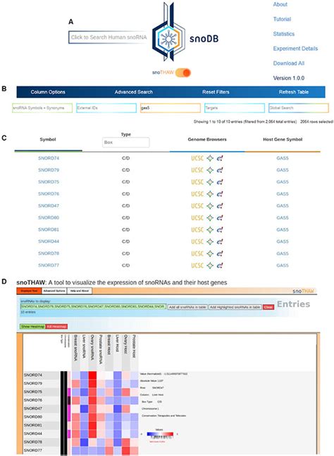 snoDB – an interactive database of human snoRNA sequences, abundance and interactions | RNA-Seq Blog