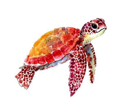 25+ cute easy turtle drawings - EloiseNajib