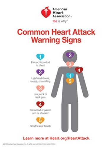 Cardiovascular Disease Flashcards Quizlet