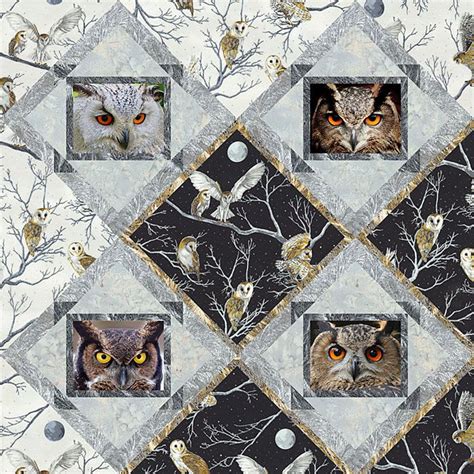 Free Pattern Night Owls Equilter Pattern 840 Night