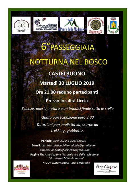 Martedì 30 passeggiata notturna nel bosco Castelbuono Org