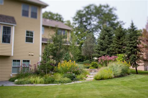 Creating Connection In Suburban Landscapes — Phillips Garden