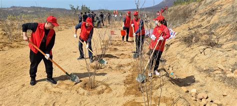 草长莺飞春时好 植树添绿花绽放 ——省社会主义学院开展义务植树活动河南省社会主义学院、中华文化学院