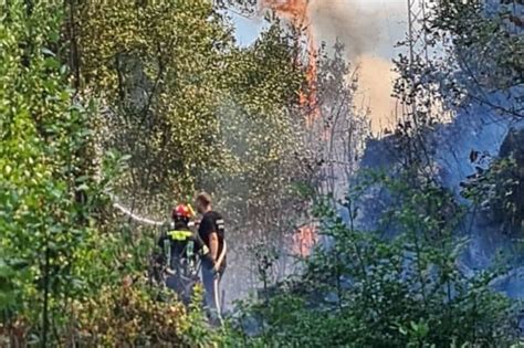 Gori na Bogetićima Bešović Požar vjerovatno izazvao voz