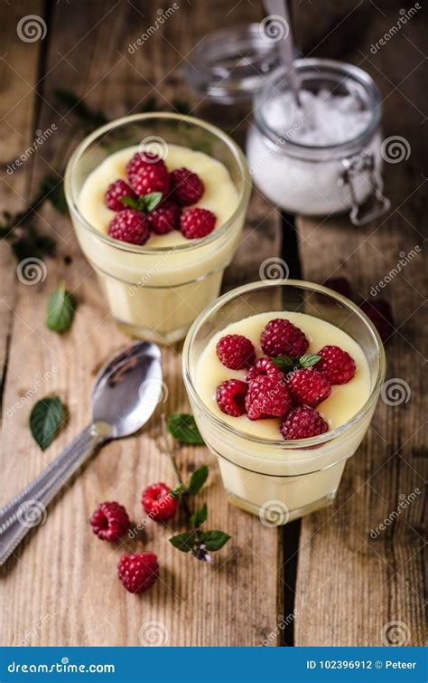 Vannila Berries Pudding Stock Photo Image Of Bowl Fruit 102396912