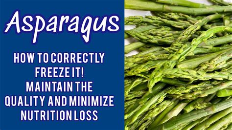 Asparagus How To Correctly Freeze It Dont Waste It Save It Buy On