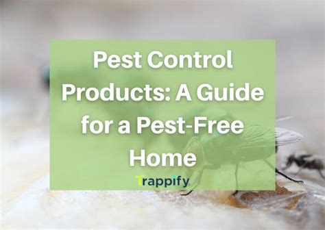 Pest Control Product A Guide For A Pest Free Home