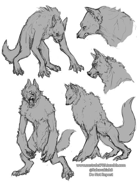 Pin By Goggles On Pose Reference Werewolf Drawing Cute Dragon