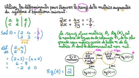 Leçon Rang Dune Matrice Les Déterminants Nagwa