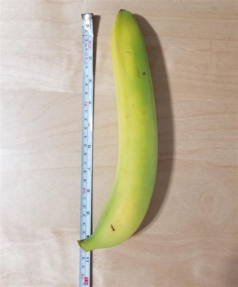 10 Inches Banana Is Just A Banana Dont Be Serious 9gag