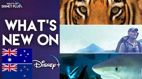 Whats New On Disney Australianew Zealand School House Rock