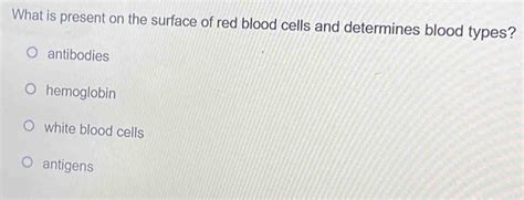 Solved What Is Present On The Surface Of Red Blood Cells And