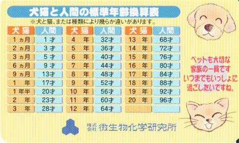 犬猫と人間の標準年齢換算表 わせだ動物病院 新宿区早稲田の動物病院