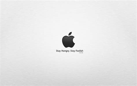 Stay Hungry Stay Foolish Steve Jobs HD Wallpaper Pxfuel