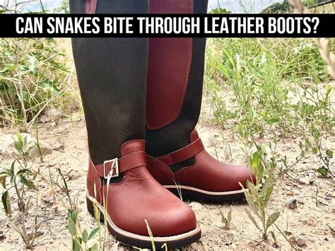 Can Snakes Bite Through Leather Boots? (We Have the Answer!)