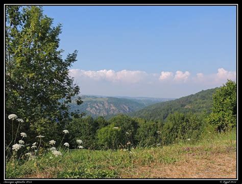 NADES - Map of Nades 03450 France