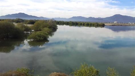 At Khor Kalba Mangrove Reserve Kalba Uae Youtube