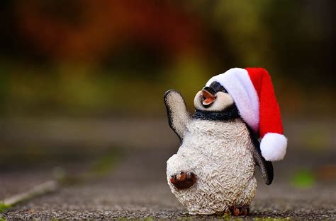 Hd Wallpaper Penguin Danbo Figure Christmas Snow Santa Hat