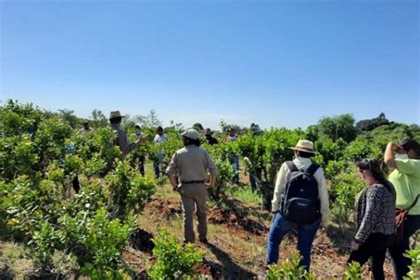 Comenz El Ciclo De Capacitaciones Para Trabajadores Yerbateros Info