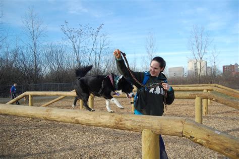 TITLES | International Dog Parkour Association