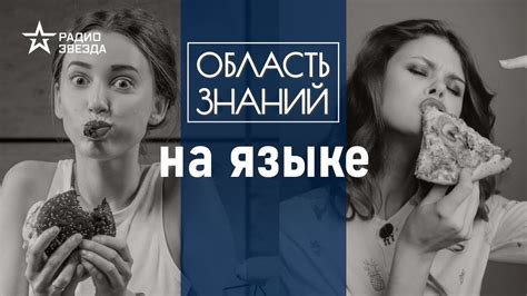 Зачем нам нужен вкус? Лекция химика Валентина Новикова - YouTube