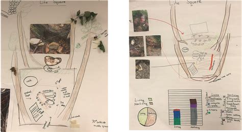 Learning to Teach with Science Representations | NSTA