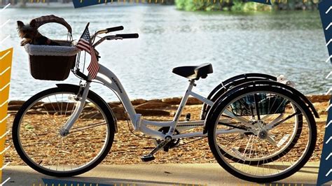 Best Adult Tricycle In 2024 Top 10 Adult Tricycles Review The Best Adult Tricycles Of 2024