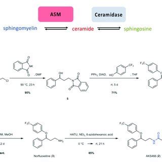 The sphingomyelin pathway and synthesis of compound AKS466. (a) Scheme ...