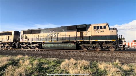 BNSF 6295 Leading NB Empty CITX Empty Coal With Two Executives MAC