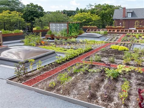 Green Roofs Revolutionizing Commercial Construction Preferred Roofing Services Traverse City