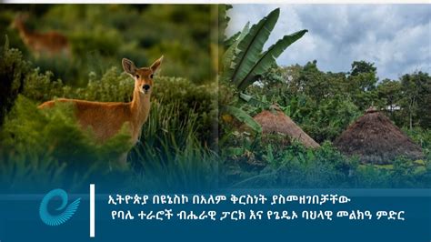 ኢትዮጵያ በዩኔስኮ በአለም ቅርስነት ያስመዘገበቻቸው የባሌ ተራሮች ብሔራዊ ፓርክ እና የጌዴኦ ባህላዊ መልክዓ