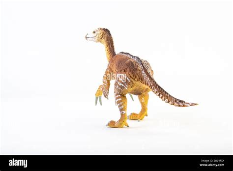 Therizinosaurus claws hi-res stock photography and images - Alamy