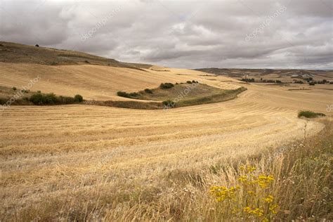 Spanish Countryside — Stock Photo © Bepsimage 6528268